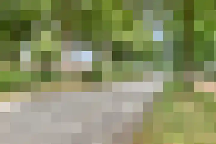 Veldmaarschalk Montgomerylaan 404 Eindhoven thumbnail 27