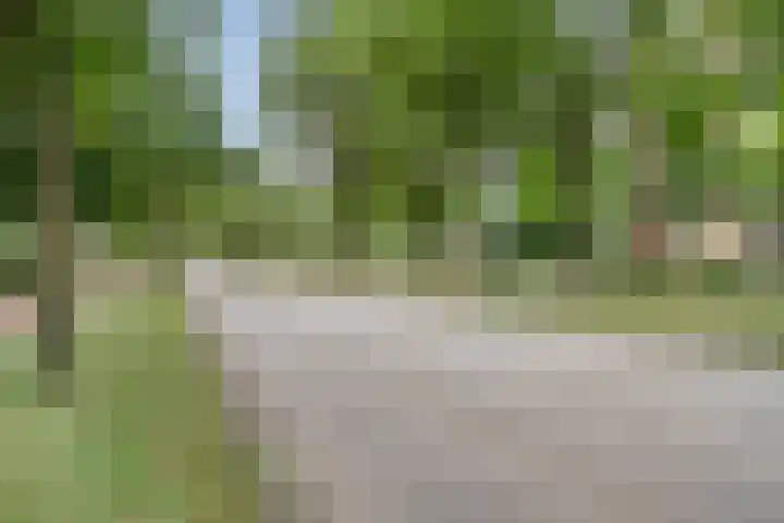 Veldmaarschalk Montgomerylaan 404 Eindhoven thumbnail 28