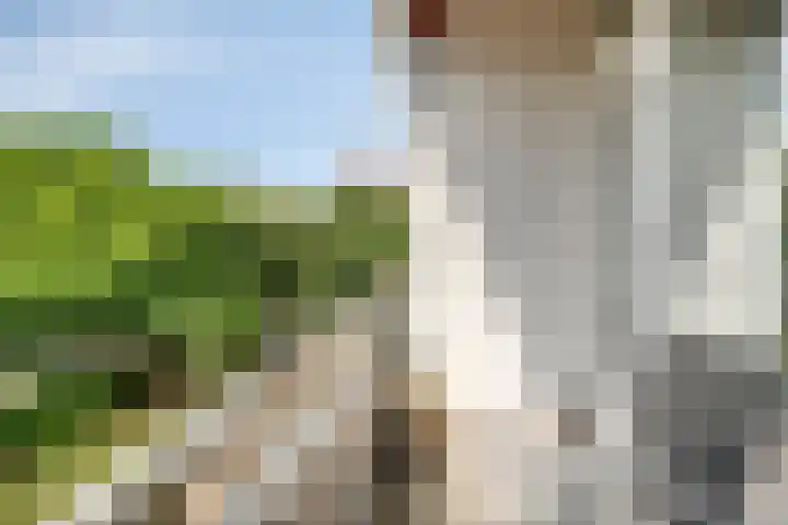 Veldmaarschalk Montgomerylaan 404 Eindhoven thumbnail 9