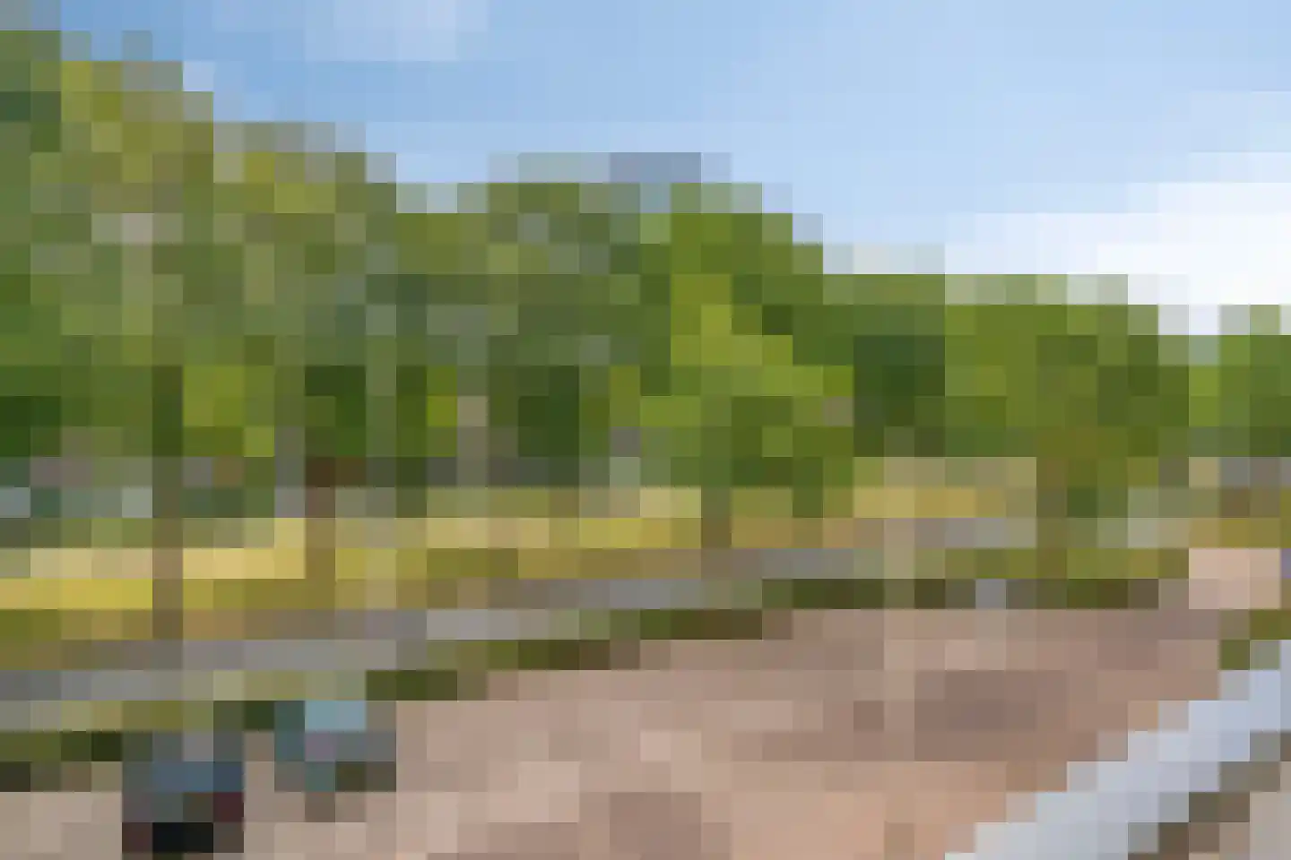 Veldmaarschalk Montgomerylaan 417 Eindhoven thumbnail 7