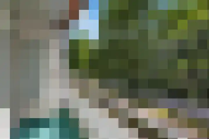 Veldmaarschalk Montgomerylaan 424 Eindhoven thumbnail 21