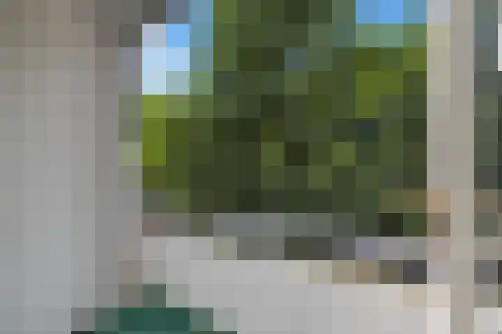 Veldmaarschalk Montgomerylaan 424 Eindhoven thumbnail 22
