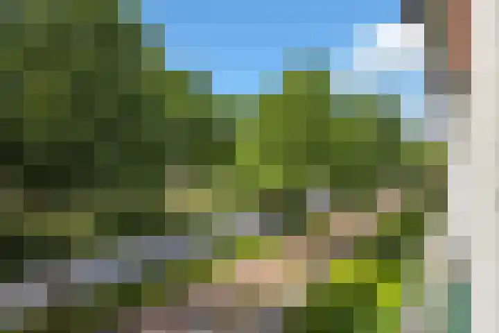 Veldmaarschalk Montgomerylaan 424 Eindhoven thumbnail 24