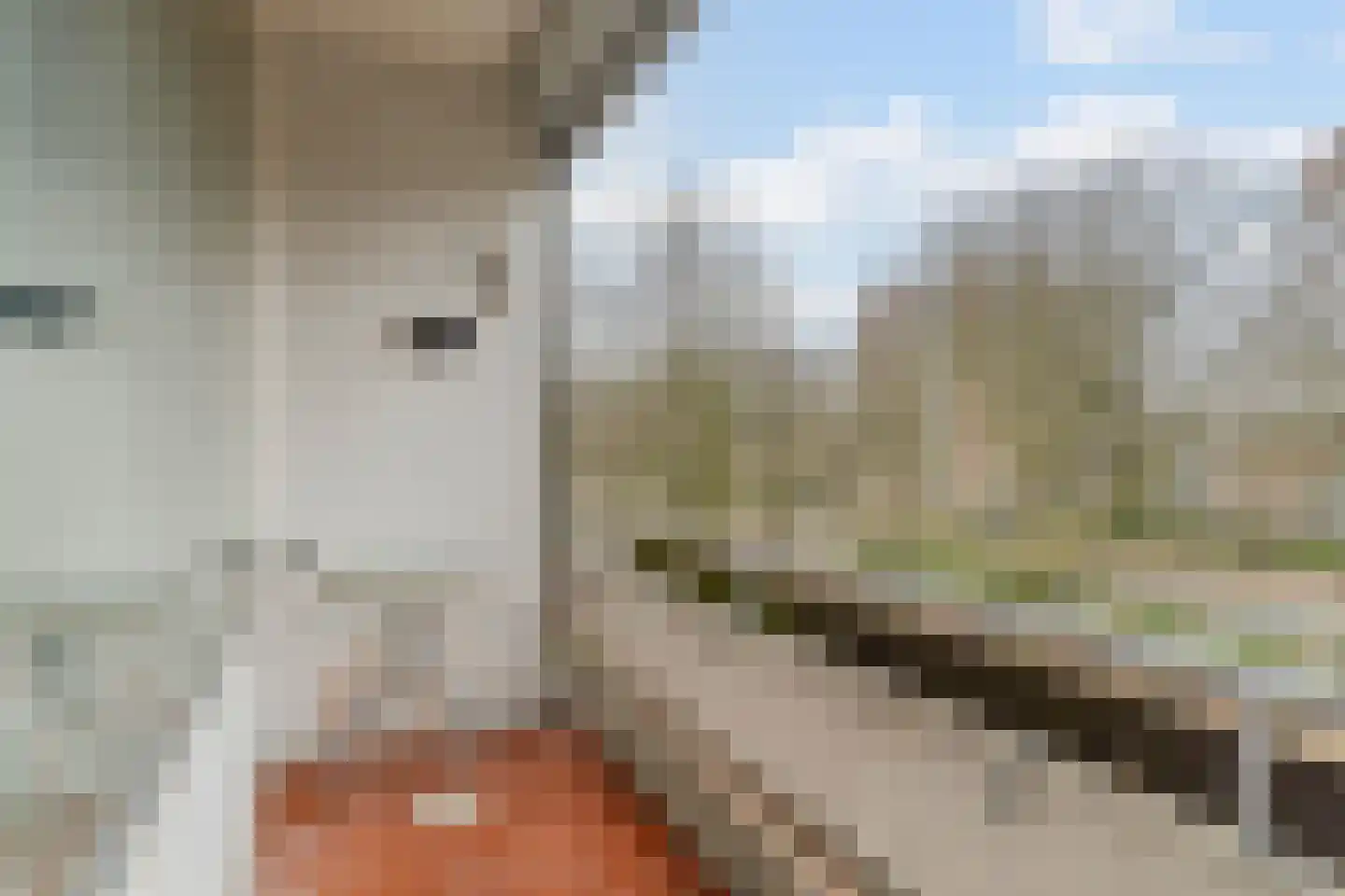 Veldmaarschalk Montgomerylaan 430 Eindhoven thumbnail 19