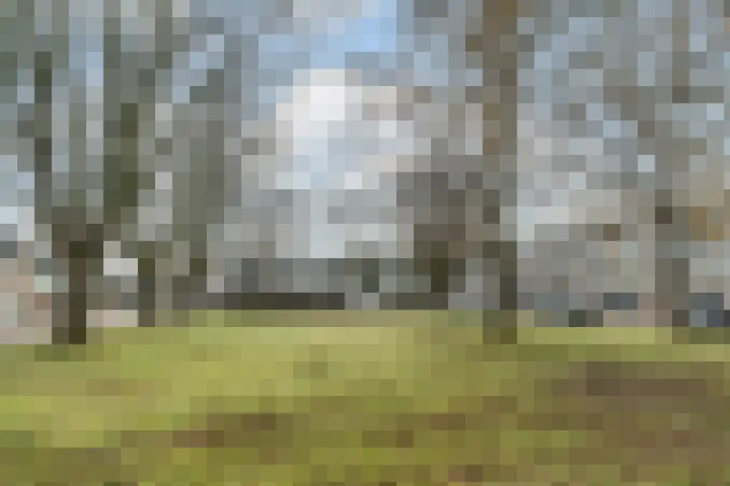Veldmaarschalk Montgomerylaan 430 Eindhoven thumbnail 29
