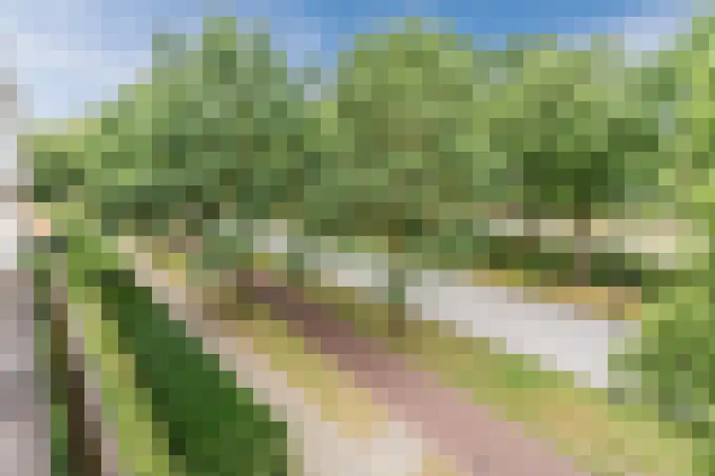 Veldmaarschalk Montgomerylaan 430 Eindhoven thumbnail 30