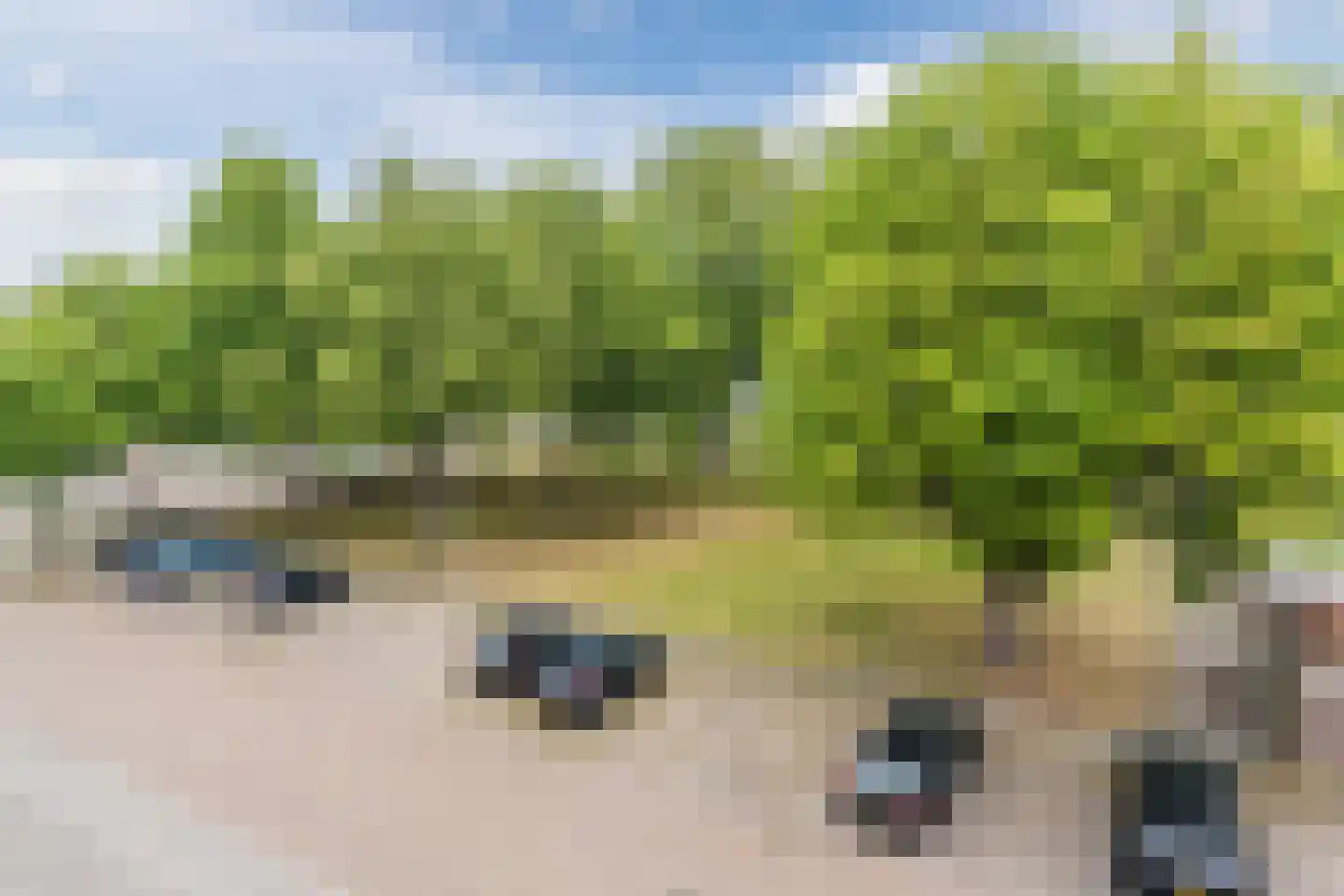Veldmaarschalk Montgomerylaan 430 Eindhoven thumbnail 31