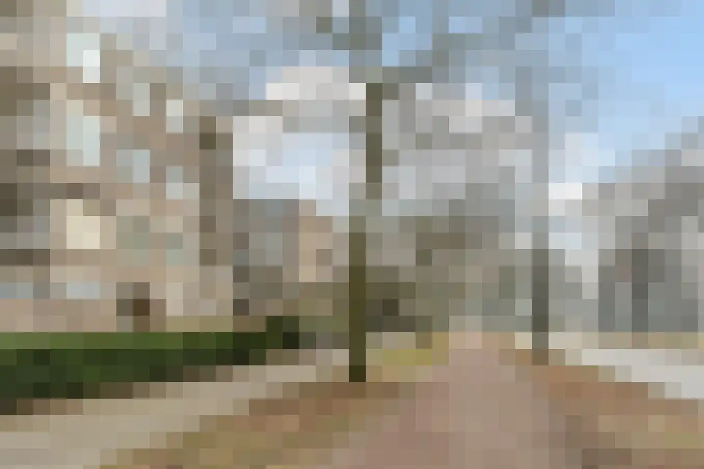 Veldmaarschalk Montgomerylaan 430 Eindhoven thumbnail 8