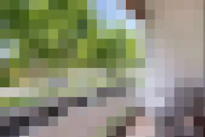 Veldmaarschalk Montgomerylaan 444 Eindhoven thumbnail 10