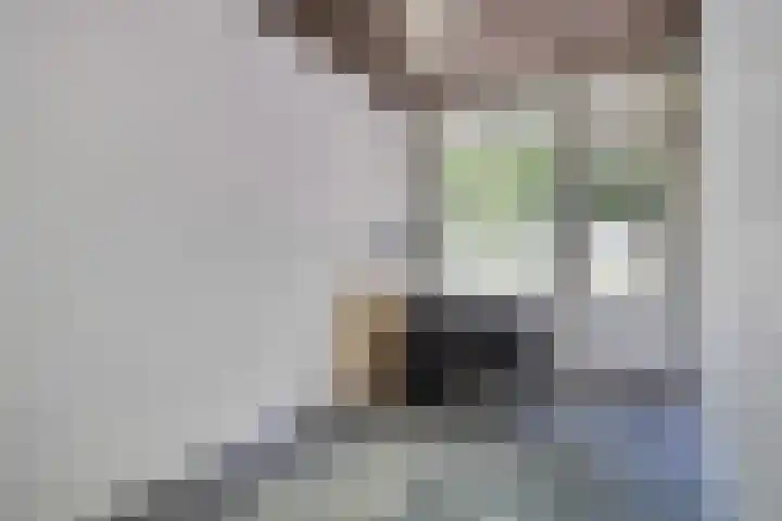 Veldmaarschalk Montgomerylaan 444 Eindhoven thumbnail 14