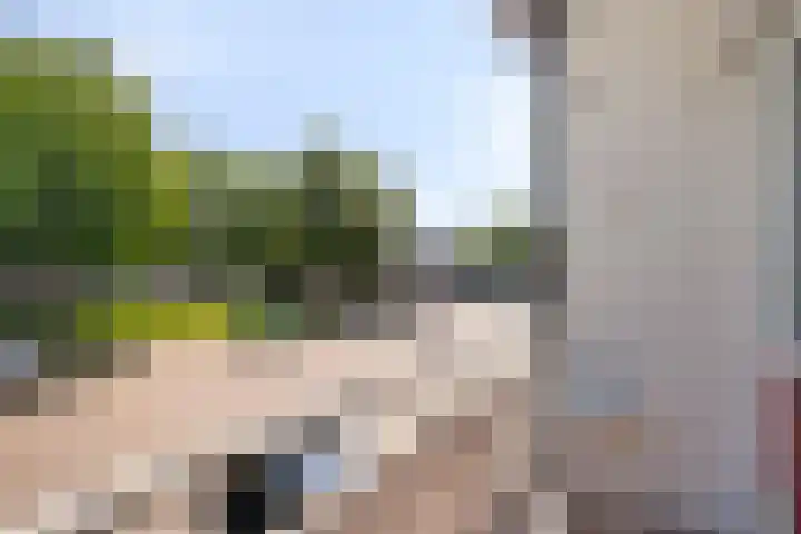 Veldmaarschalk Montgomerylaan 444 Eindhoven thumbnail 17