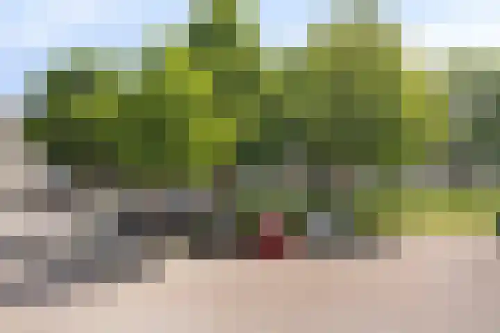 Veldmaarschalk Montgomerylaan 444 Eindhoven thumbnail 19