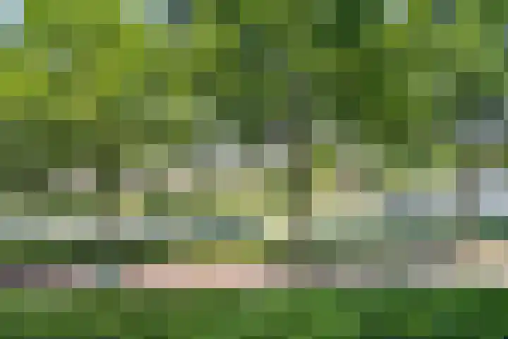 Veldmaarschalk Montgomerylaan 444 Eindhoven thumbnail 20