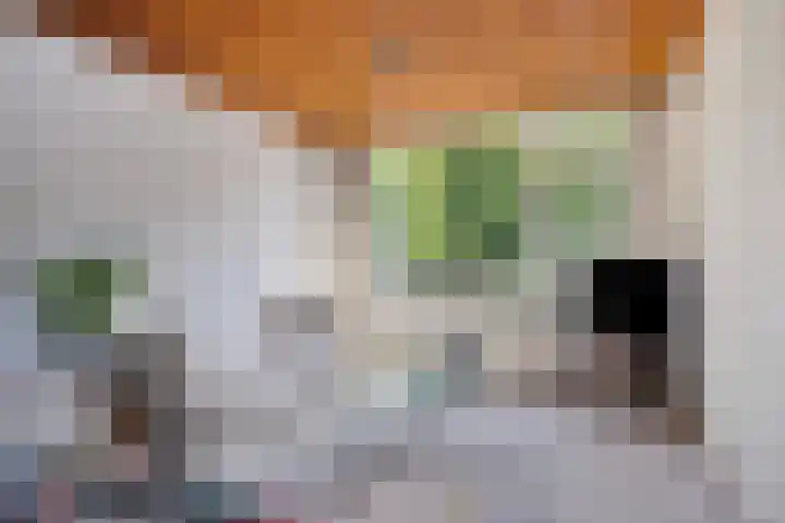 Veldmaarschalk Montgomerylaan 444 Eindhoven thumbnail 7