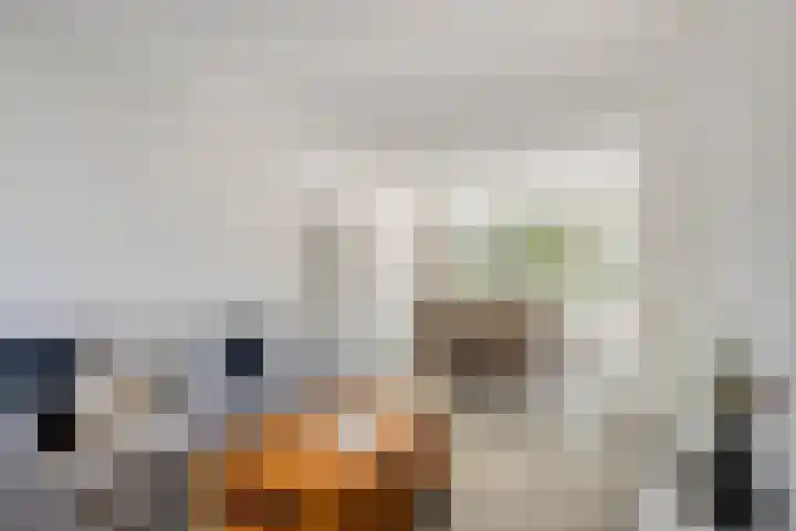 Veldmaarschalk Montgomerylaan 446 Eindhoven thumbnail 12