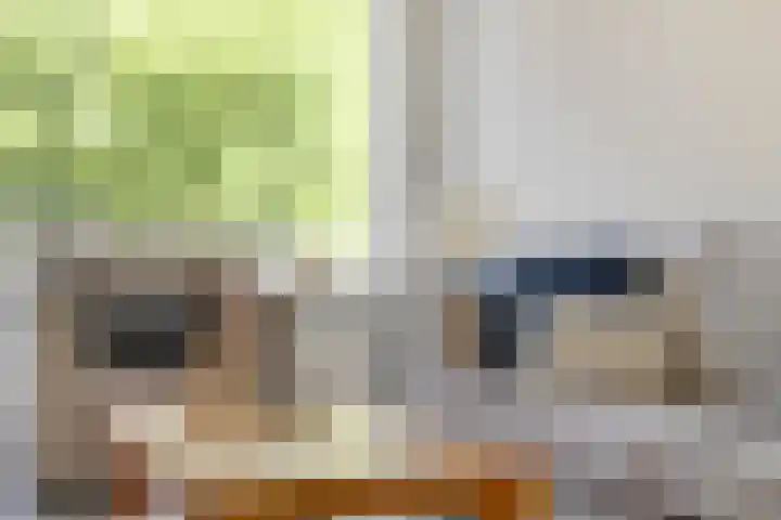 Veldmaarschalk Montgomerylaan 446 Eindhoven thumbnail 13