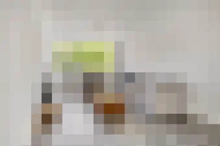 Veldmaarschalk Montgomerylaan 446 Eindhoven thumbnail 15
