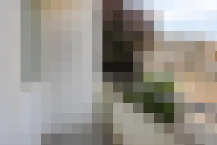 Veldmaarschalk Montgomerylaan 446 Eindhoven thumbnail 26
