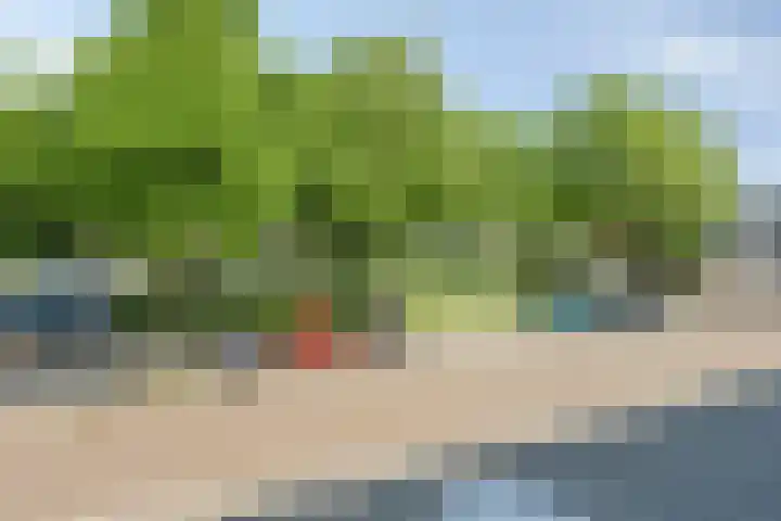 Veldmaarschalk Montgomerylaan 446 Eindhoven thumbnail 27
