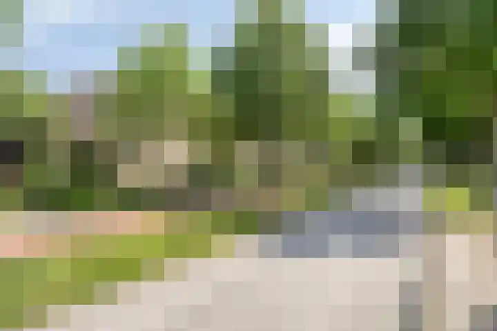 Veldmaarschalk Montgomerylaan 446 Eindhoven thumbnail 29