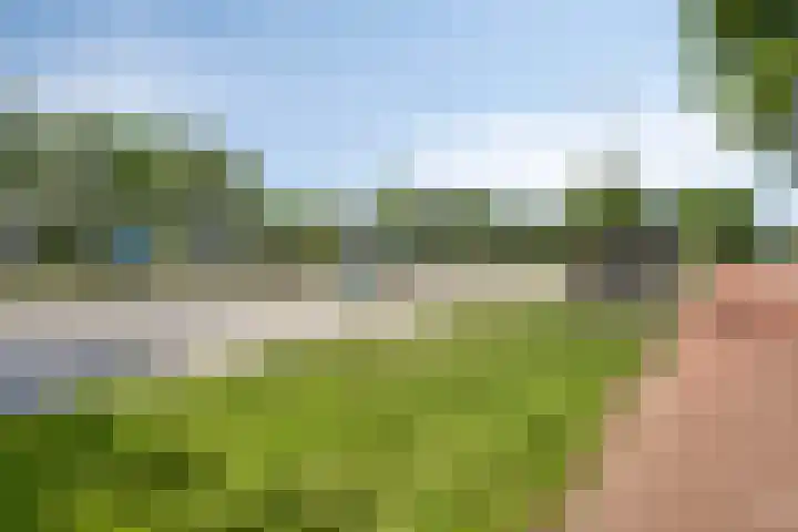 Veldmaarschalk Montgomerylaan 446 Eindhoven thumbnail 30