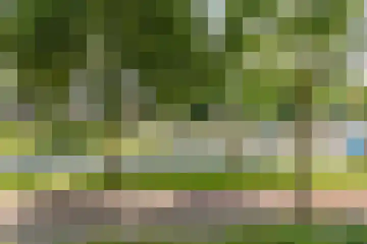 Veldmaarschalk Montgomerylaan 446 Eindhoven thumbnail 7