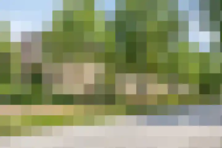 Veldmaarschalk Montgomerylaan 446 Eindhoven thumbnail 8