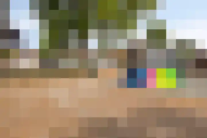 Veldmaarschalk Montgomerylaan 669 C Eindhoven thumbnail 19