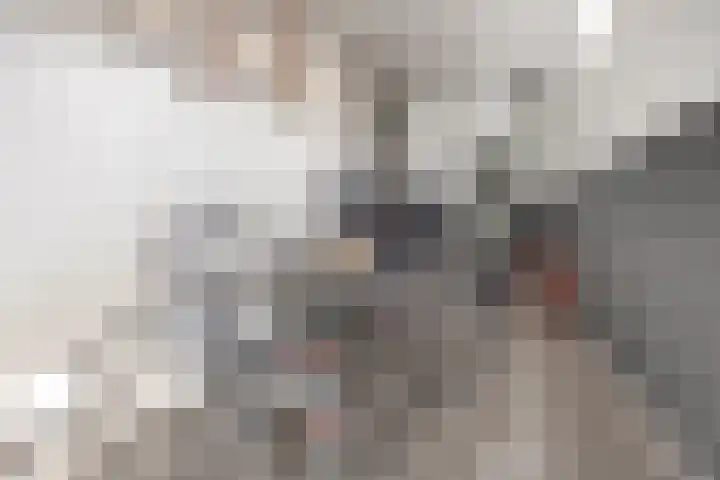 Veldmaarschalk Montgomerylaan 669 C Eindhoven thumbnail 19