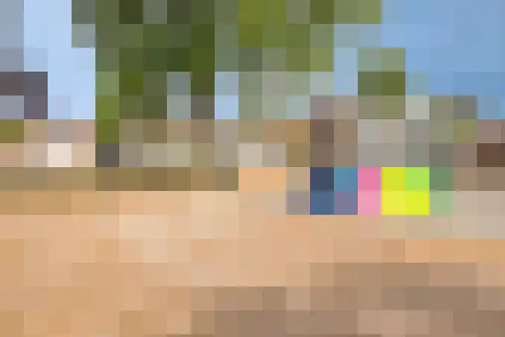 Veldmaarschalk Montgomerylaan 669 C Eindhoven thumbnail 21
