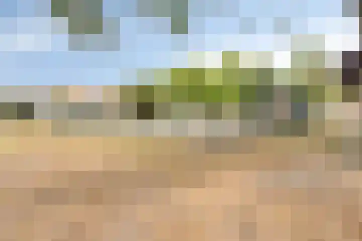 Veldmaarschalk Montgomerylaan 669 C Eindhoven thumbnail 22