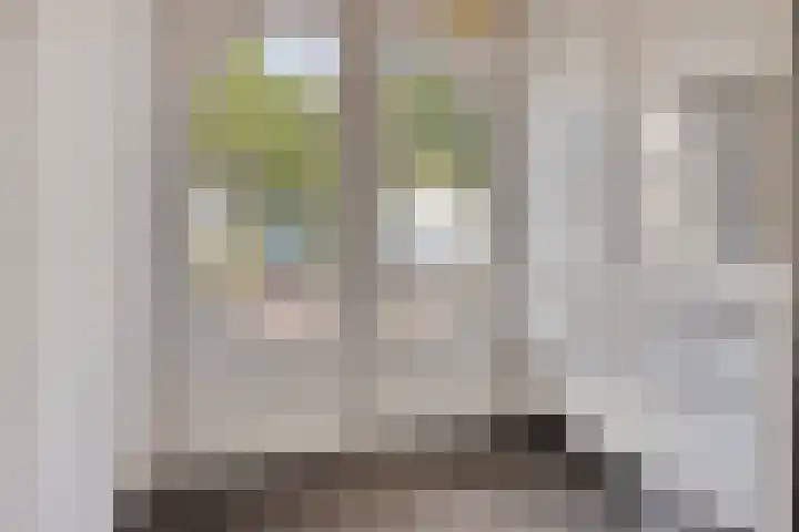 Veldmaarschalk Montgomerylaan 669 C Eindhoven thumbnail 5