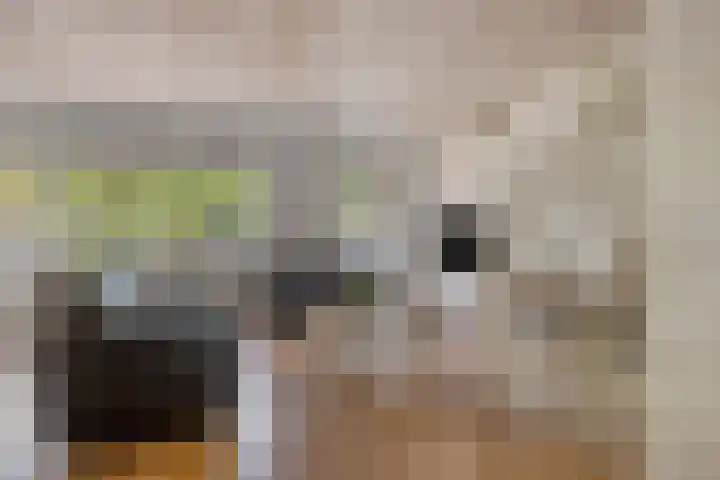 Veldmaarschalk Montgomerylaan 669 C Eindhoven thumbnail 7