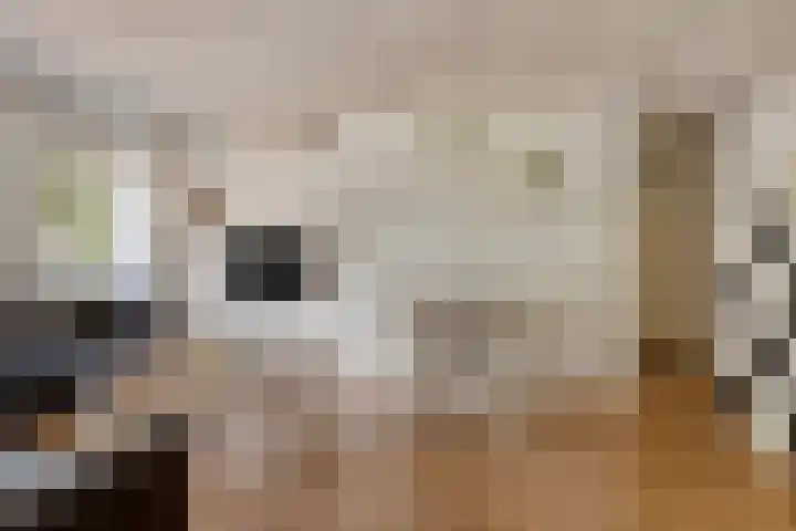 Veldmaarschalk Montgomerylaan 669 C Eindhoven thumbnail 8