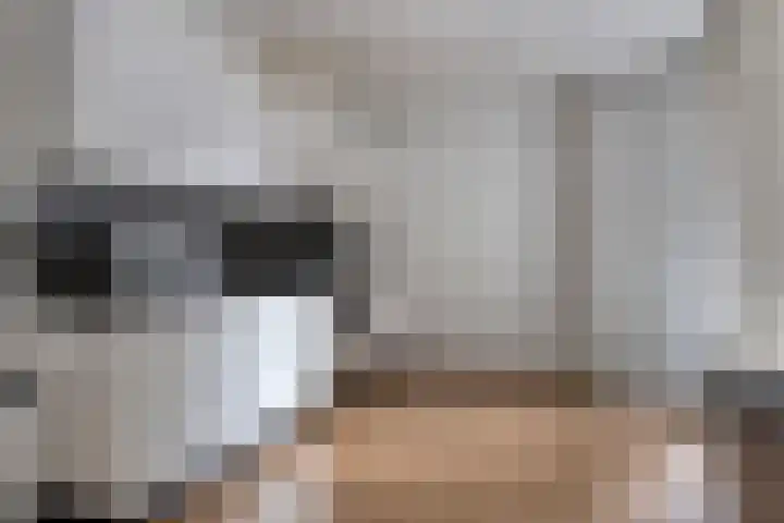 Veldmaarschalk Montgomerylaan 669 D Eindhoven thumbnail 17