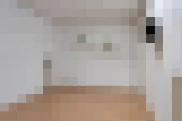 Veldmaarschalk Montgomerylaan 669 D Eindhoven thumbnail 19