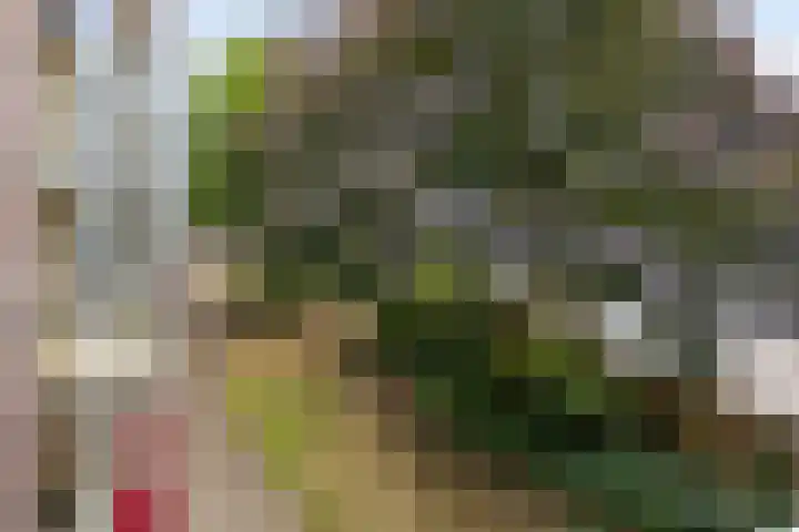 Veldmaarschalk Montgomerylaan 669 D Eindhoven thumbnail 26