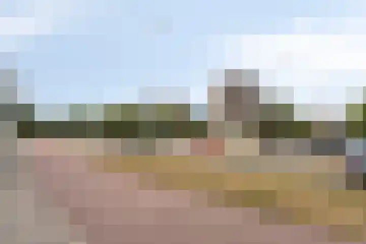 Veldmaarschalk Montgomerylaan 669 D Eindhoven thumbnail 29