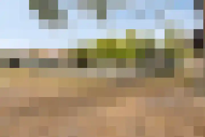 Veldmaarschalk Montgomerylaan 669 D Eindhoven thumbnail 31
