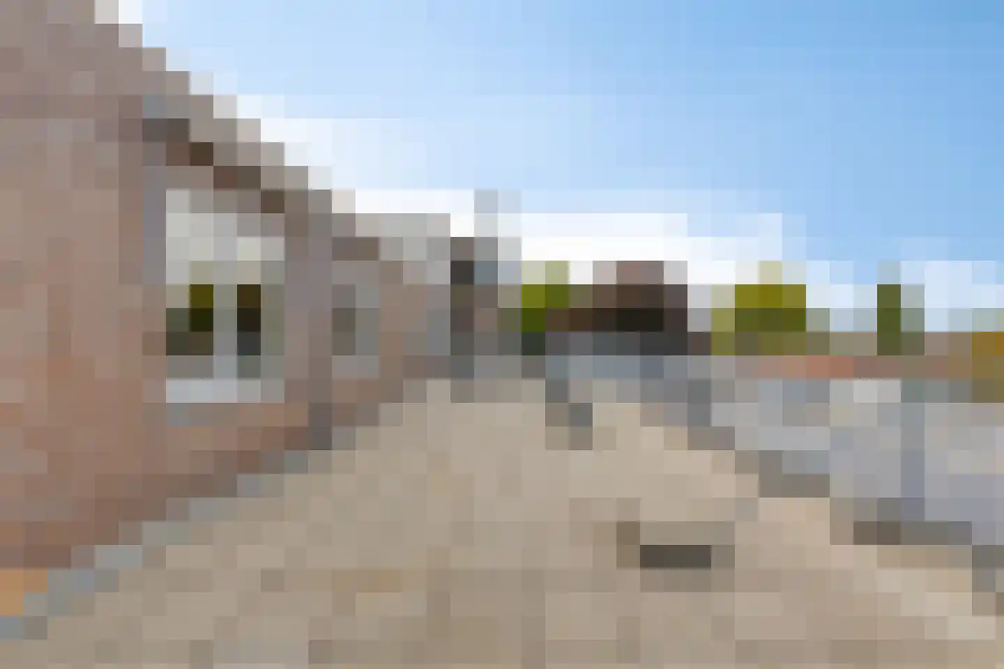 Veldmaarschalk Montgomerylaan 669 F Eindhoven thumbnail 26