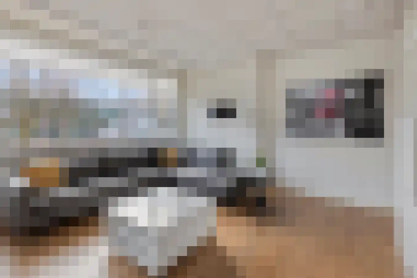Veldmaarschalk Montgomerylaan 669 G Eindhoven thumbnail 17