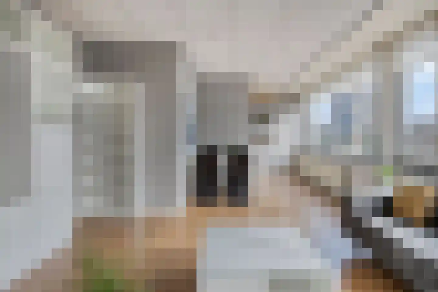 Veldmaarschalk Montgomerylaan 669 G Eindhoven thumbnail 18