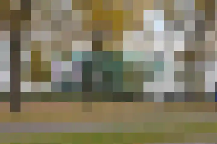 Veldmaarschalk Montgomerylaan 669 H Eindhoven thumbnail 24