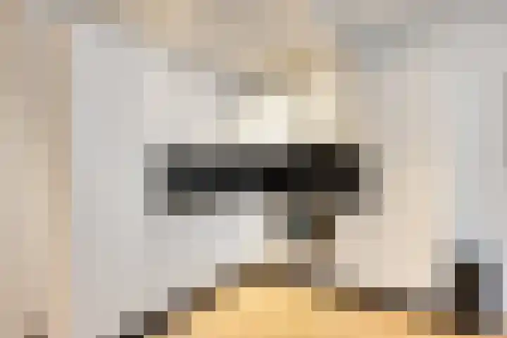 Veldmaarschalk Montgomerylaan 669 J Eindhoven thumbnail 18