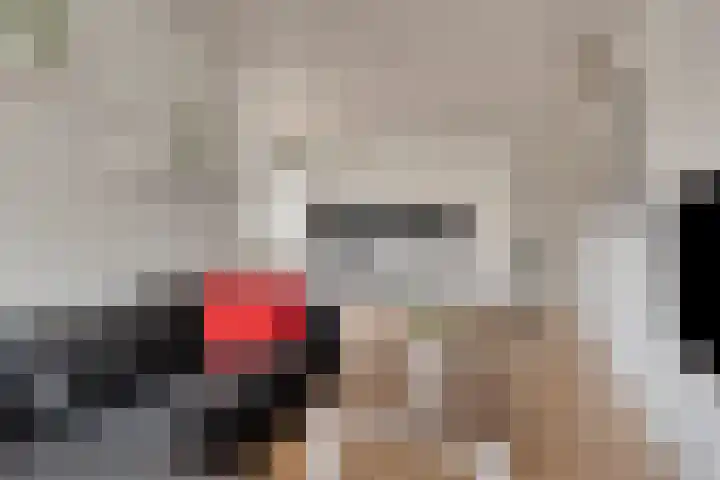 Veldmaarschalk Montgomerylaan 669 M Eindhoven thumbnail 34