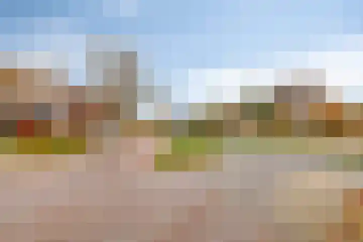 Veldmaarschalk Montgomerylaan 669 M Eindhoven thumbnail 43