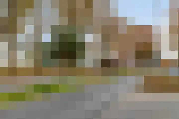 Veldmaarschalk Montgomerylaan 669 M Eindhoven thumbnail 44