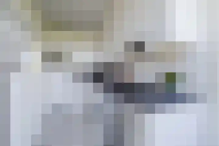 Veldmaarschalk Montgomerylaan 685 Eindhoven thumbnail 19