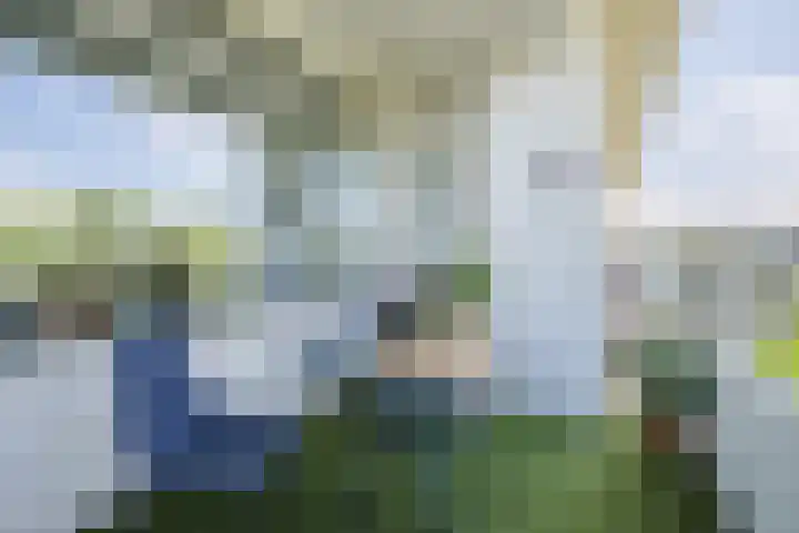 Veldmaarschalk Montgomerylaan 685 Eindhoven thumbnail 34