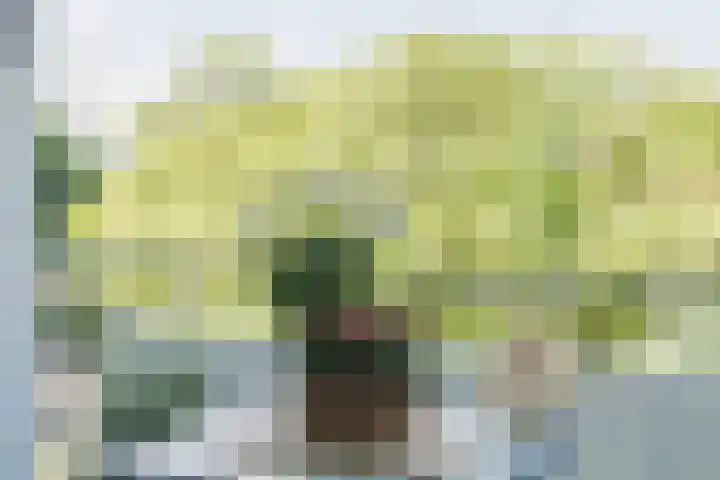 Veldmaarschalk Montgomerylaan 685 Eindhoven thumbnail 35